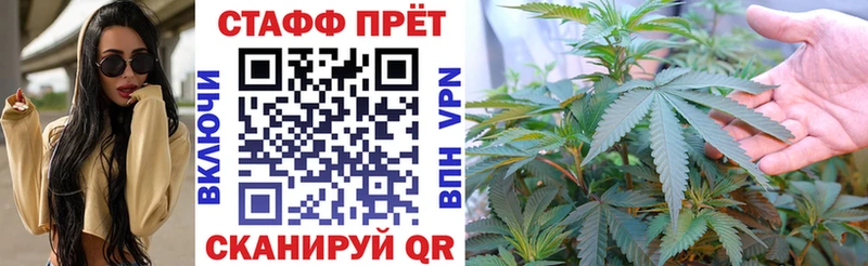 Как найти наркотики Кадников Гашиш Каннабис А ПВП Мефедрон Псилоцибиновые грибы МДМА Cocaine