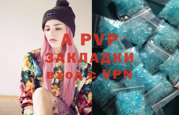PSILOCYBIN Абаза