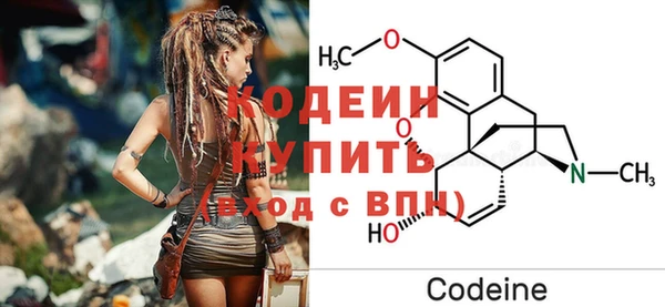 прущие грибы Абинск