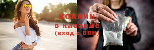 прущие грибы Абинск