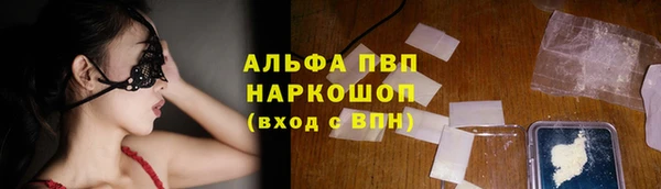 прущие грибы Абинск