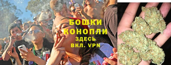 прущие грибы Абинск