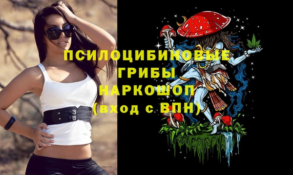 PSILOCYBIN Абаза