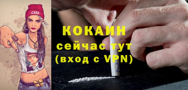 прущие грибы Абинск