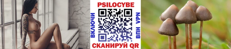 Галлюциногенные грибы GOLDEN TEACHER Кадников